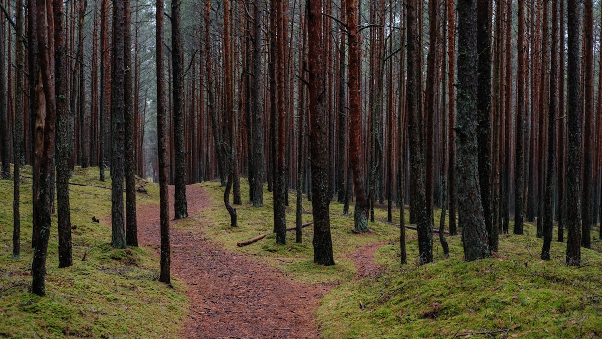 結論から確認：あなたはどちらのタイプか