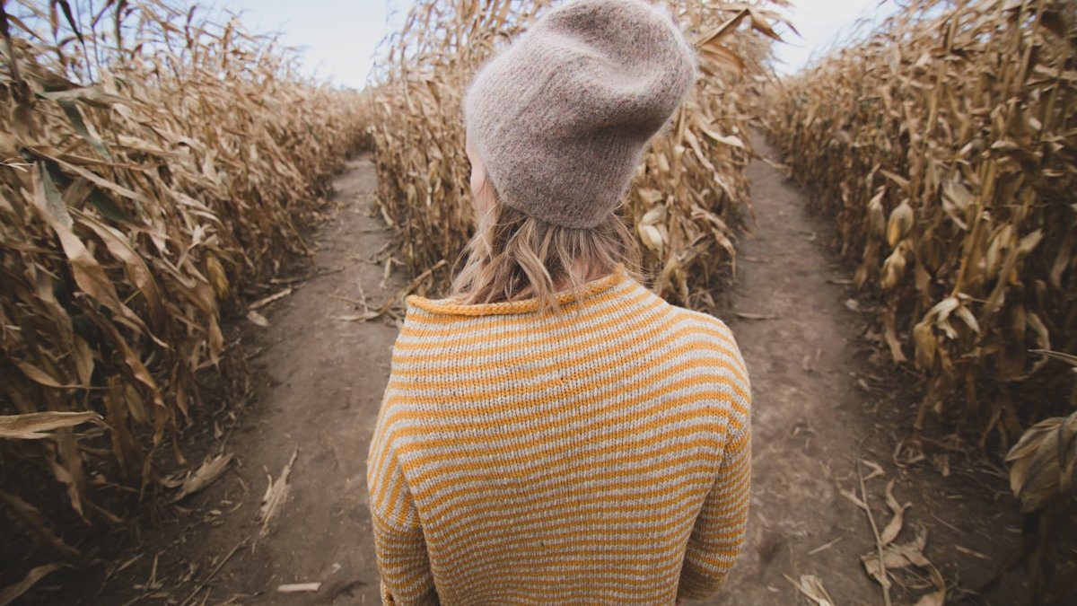 Apple Creator Studio vs Adobe CC:結論比較表